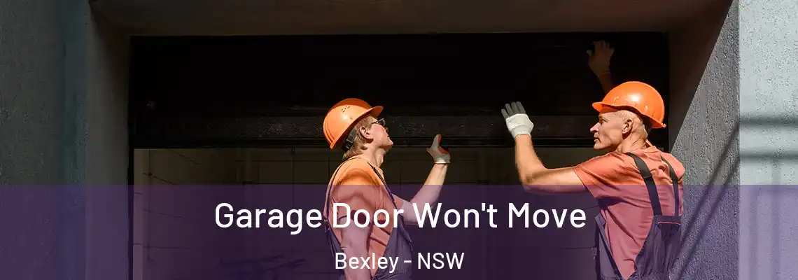 Garage Door Won't Move Bexley - NSW