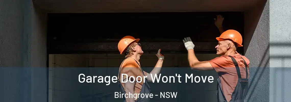  Garage Door Won't Move Birchgrove - NSW
