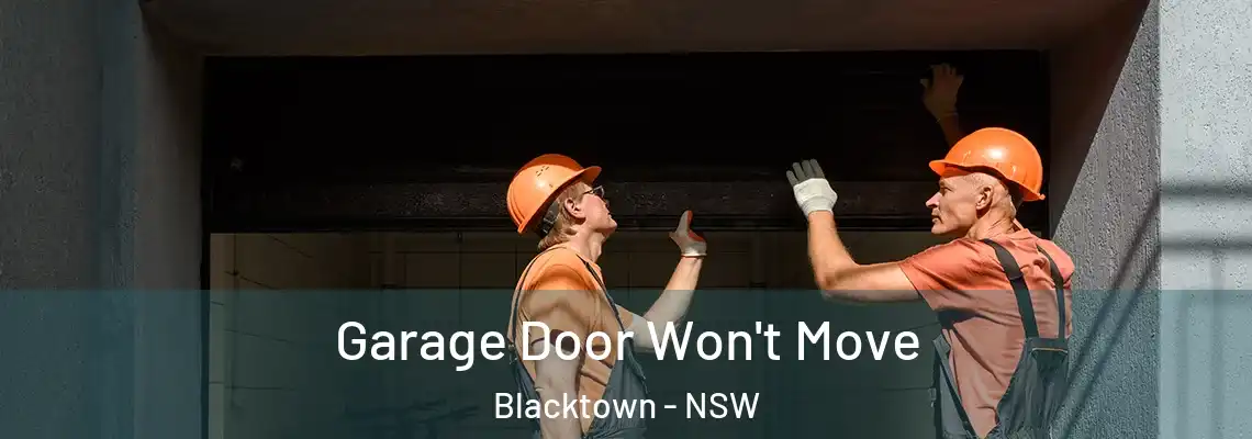  Garage Door Won't Move Blacktown - NSW