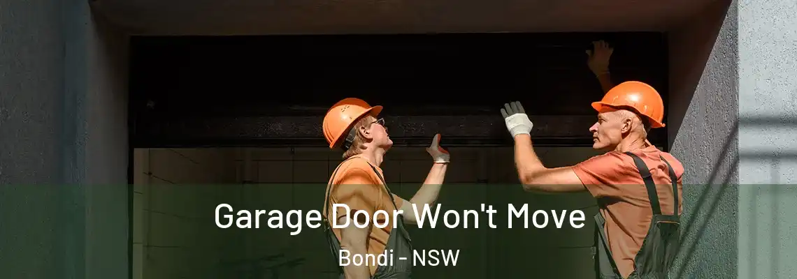  Garage Door Won't Move Bondi - NSW