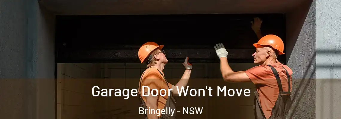  Garage Door Won't Move Bringelly - NSW