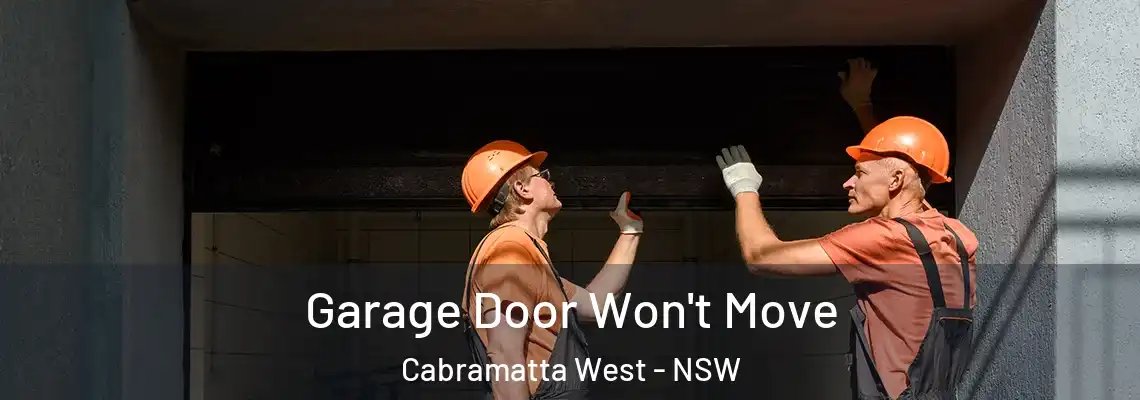  Garage Door Won't Move Cabramatta West - NSW