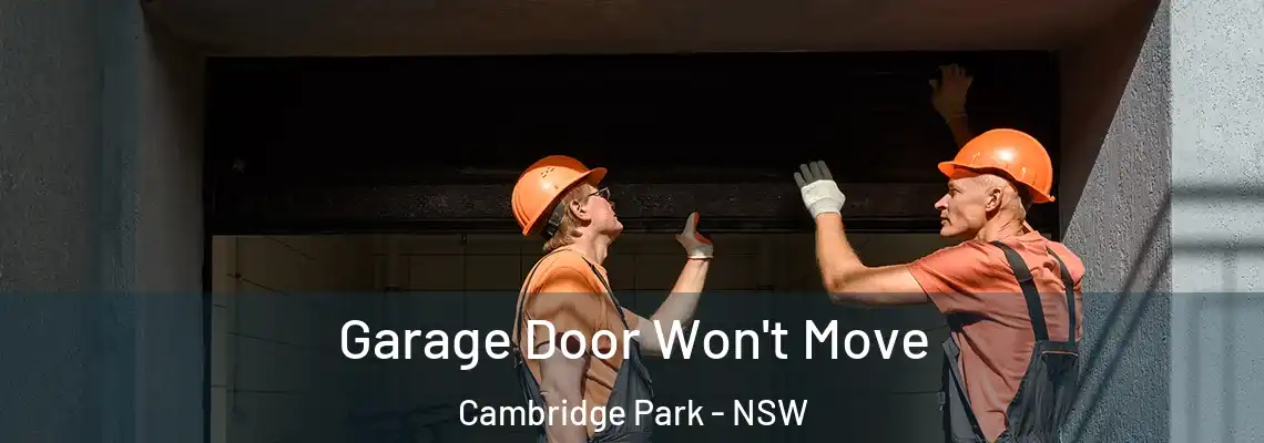  Garage Door Won't Move Cambridge Park - NSW