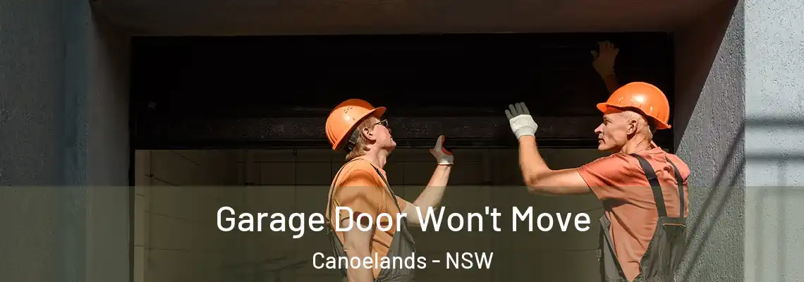  Garage Door Won't Move Canoelands - NSW