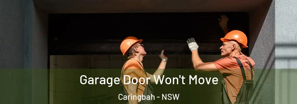  Garage Door Won't Move Caringbah - NSW