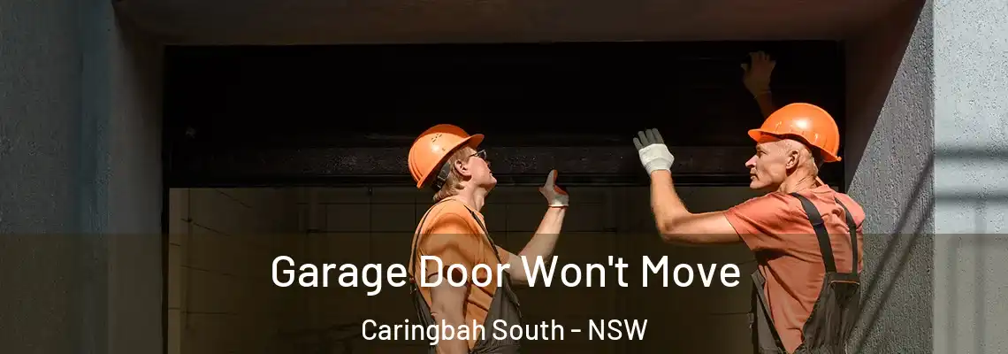  Garage Door Won't Move Caringbah South - NSW