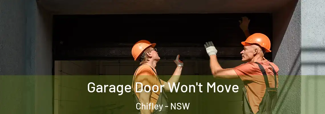  Garage Door Won't Move Chifley - NSW