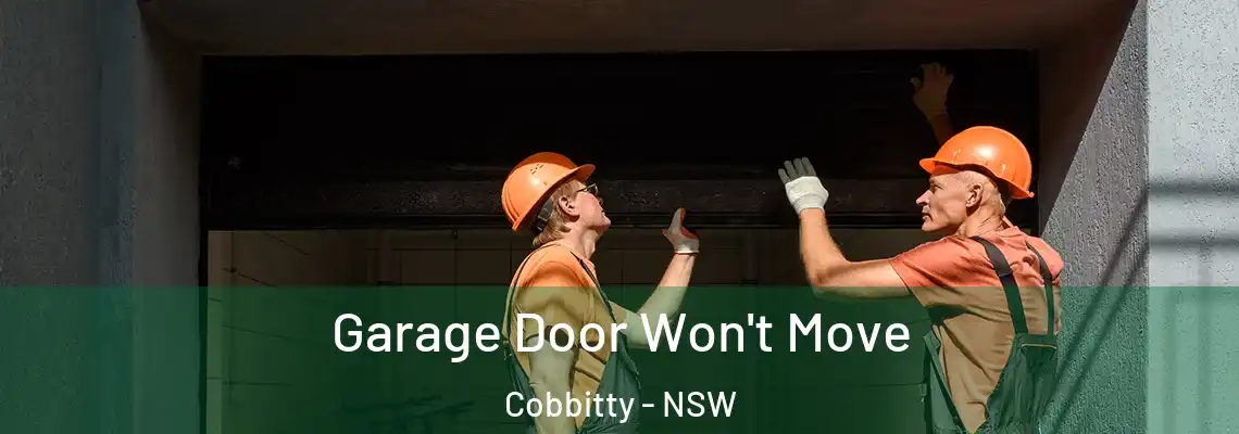  Garage Door Won't Move Cobbitty - NSW