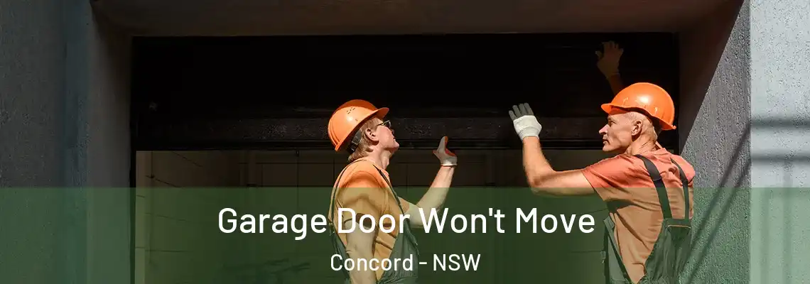  Garage Door Won't Move Concord - NSW