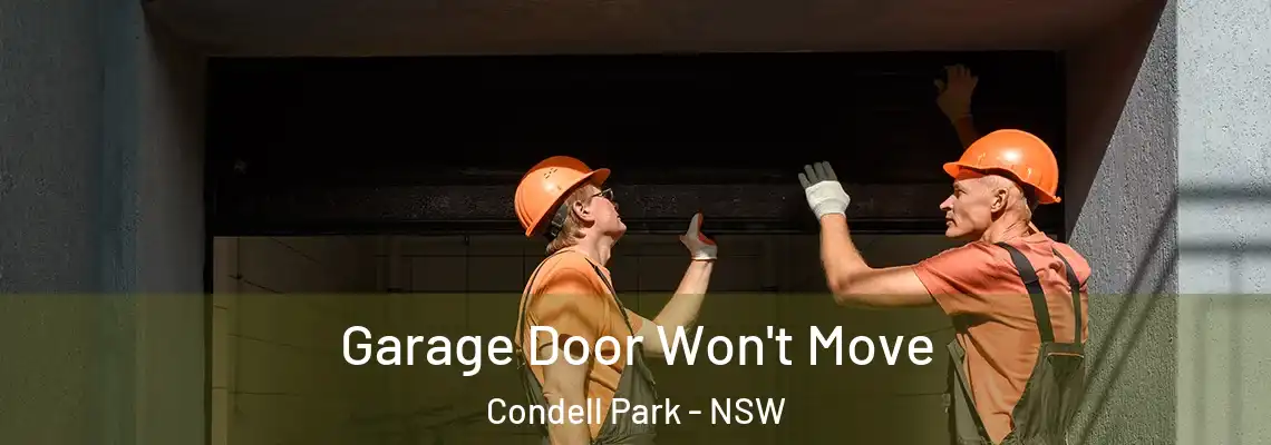 Garage Door Won't Move Condell Park - NSW