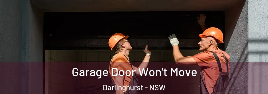  Garage Door Won't Move Darlinghurst - NSW