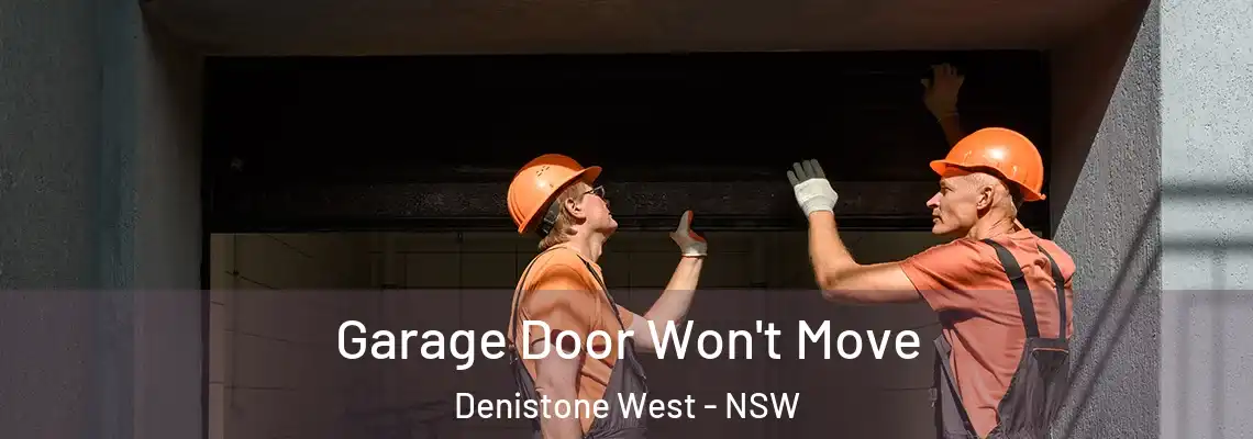 Garage Door Won't Move Denistone West - NSW