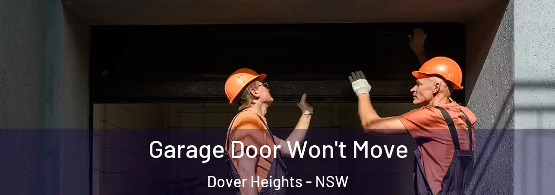  Garage Door Won't Move Dover Heights - NSW