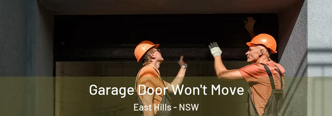  Garage Door Won't Move East Hills - NSW