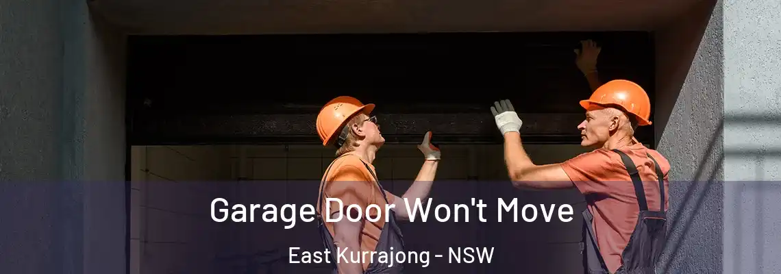 Garage Door Won't Move East Kurrajong - NSW