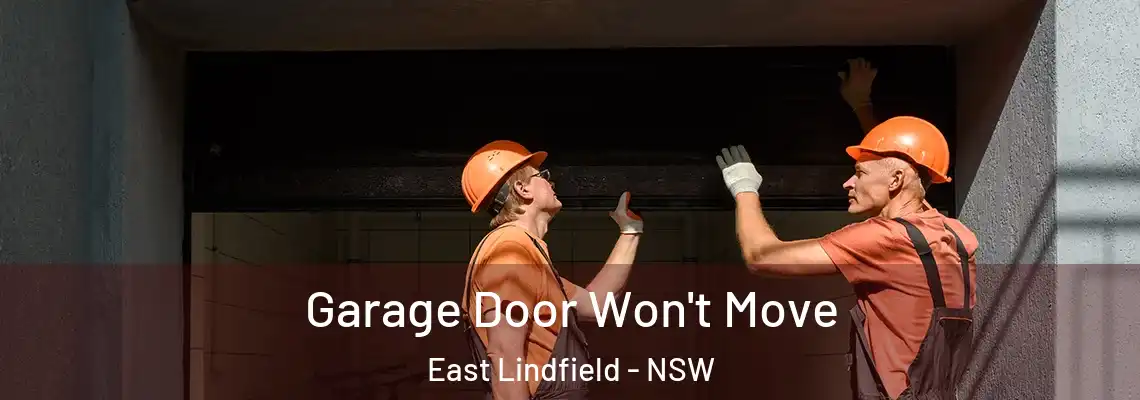  Garage Door Won't Move East Lindfield - NSW