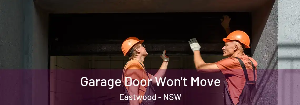  Garage Door Won't Move Eastwood - NSW