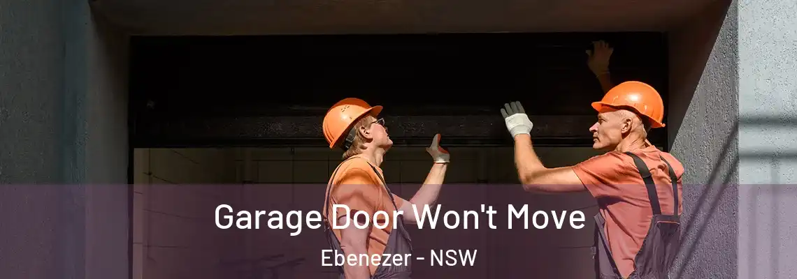  Garage Door Won't Move Ebenezer - NSW