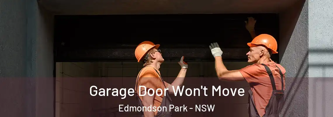  Garage Door Won't Move Edmondson Park - NSW