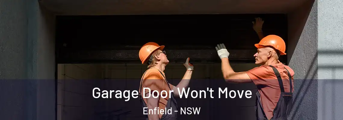  Garage Door Won't Move Enfield - NSW