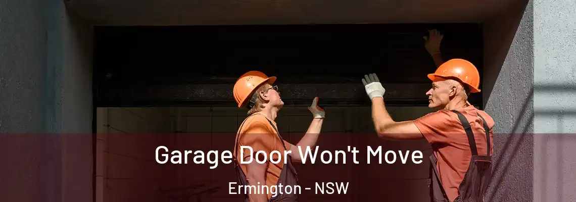  Garage Door Won't Move Ermington - NSW