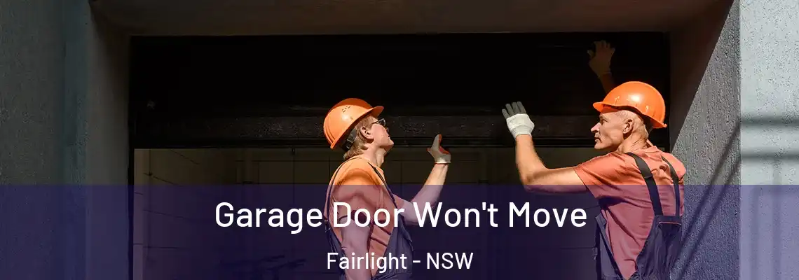  Garage Door Won't Move Fairlight - NSW