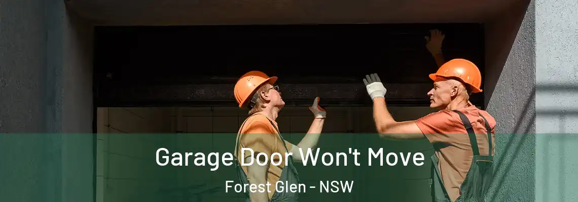  Garage Door Won't Move Forest Glen - NSW