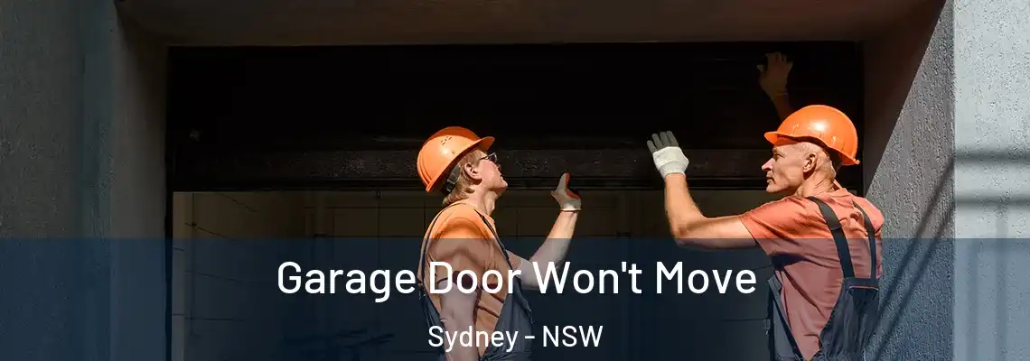  Garage Door Won't Move Sydney - NSW