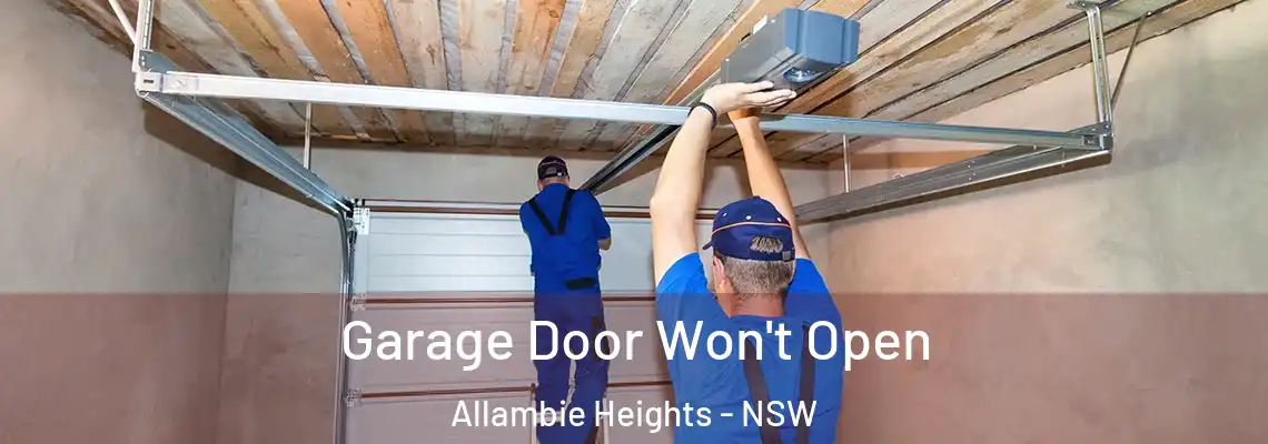  Garage Door Won't Open Allambie Heights - NSW