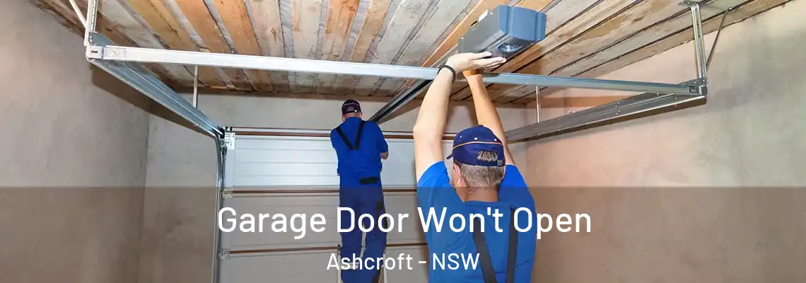  Garage Door Won't Open Ashcroft - NSW