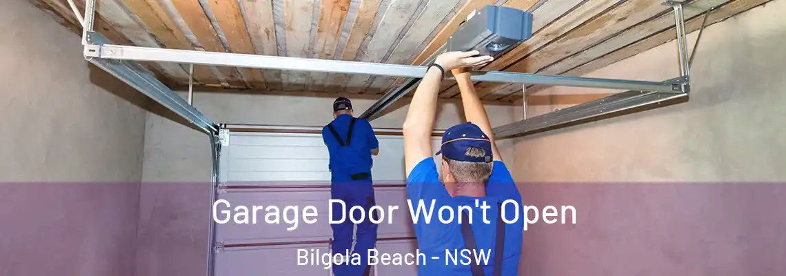  Garage Door Won't Open Bilgola Beach - NSW