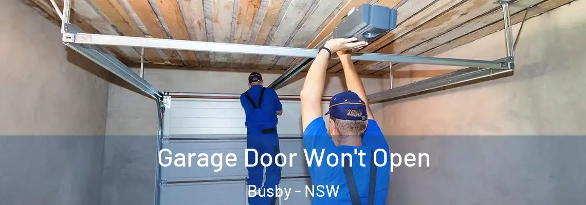  Garage Door Won't Open Busby - NSW