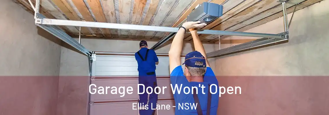  Garage Door Won't Open Ellis Lane - NSW