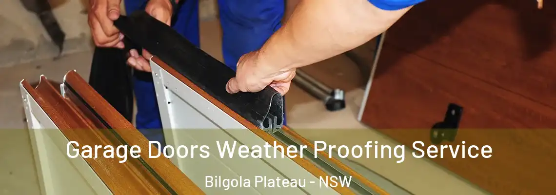  Garage Doors Weather Proofing Service Bilgola Plateau - NSW