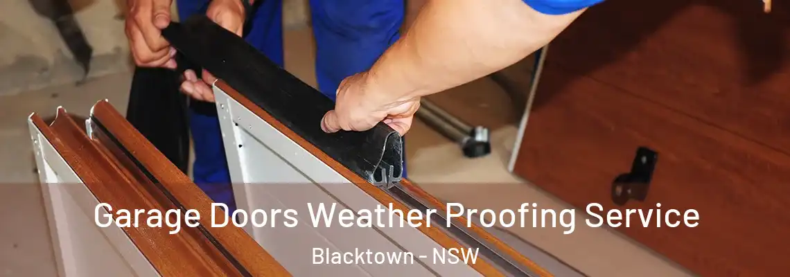  Garage Doors Weather Proofing Service Blacktown - NSW