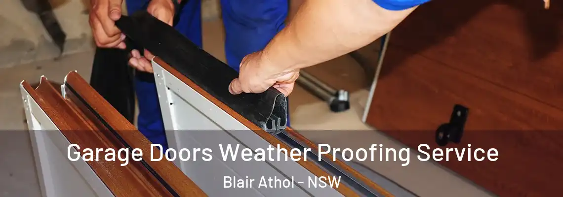  Garage Doors Weather Proofing Service Blair Athol - NSW