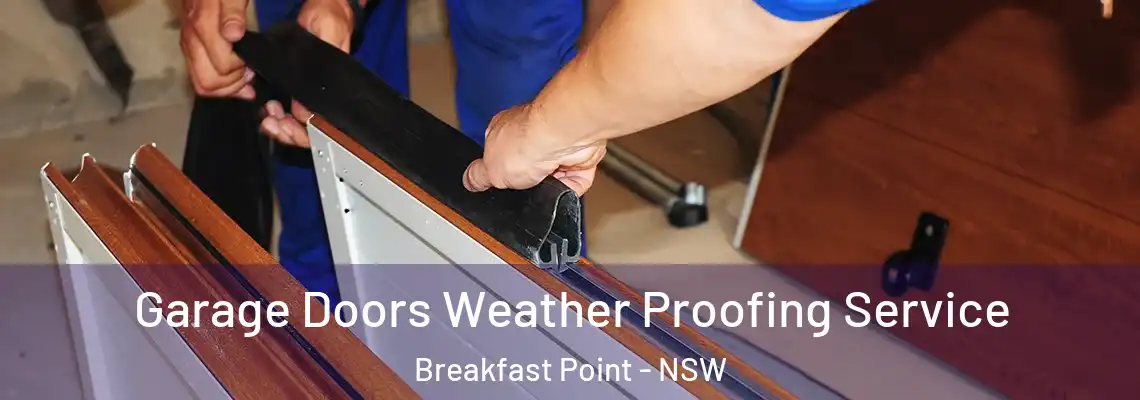  Garage Doors Weather Proofing Service Breakfast Point - NSW
