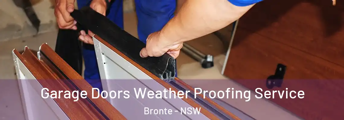  Garage Doors Weather Proofing Service Bronte - NSW