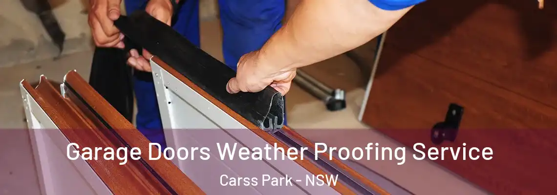  Garage Doors Weather Proofing Service Carss Park - NSW