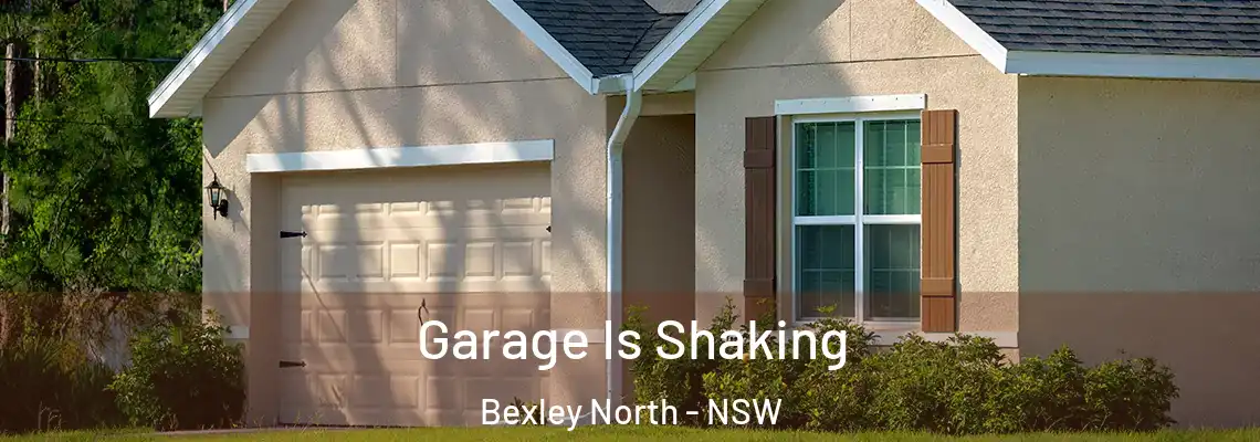  Garage Is Shaking Bexley North - NSW