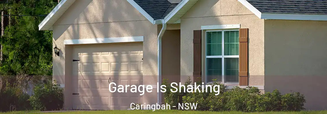  Garage Is Shaking Caringbah - NSW