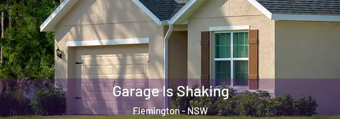  Garage Is Shaking Flemington - NSW