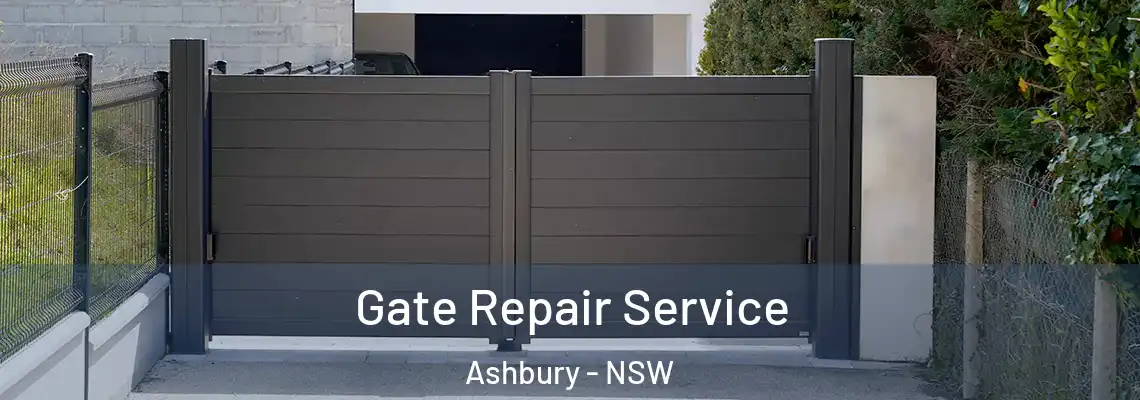 Gate Repair Service Ashbury - NSW