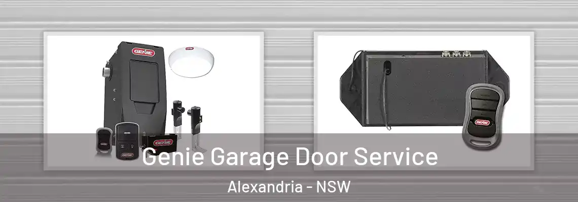  Genie Garage Door Service Alexandria - NSW
