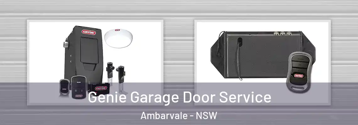  Genie Garage Door Service Ambarvale - NSW