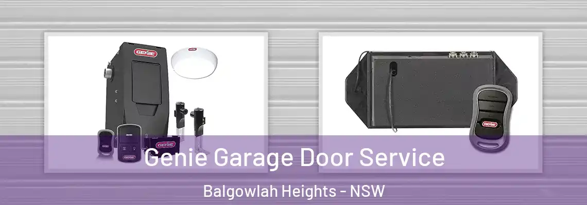  Genie Garage Door Service Balgowlah Heights - NSW