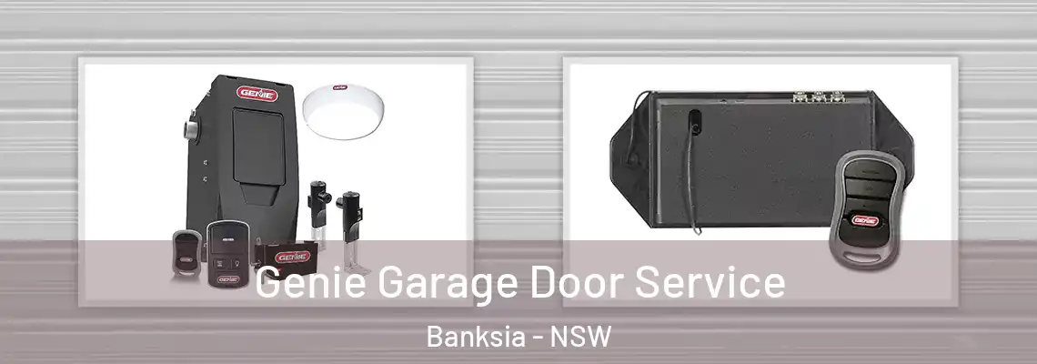  Genie Garage Door Service Banksia - NSW