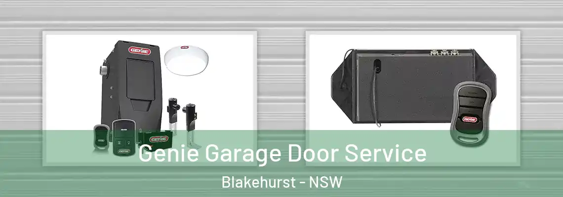  Genie Garage Door Service Blakehurst - NSW