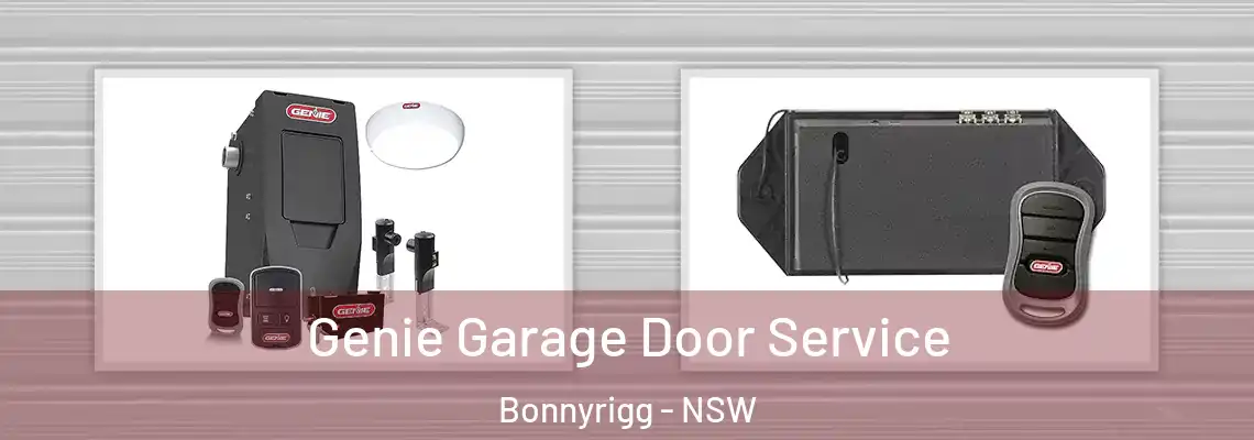  Genie Garage Door Service Bonnyrigg - NSW