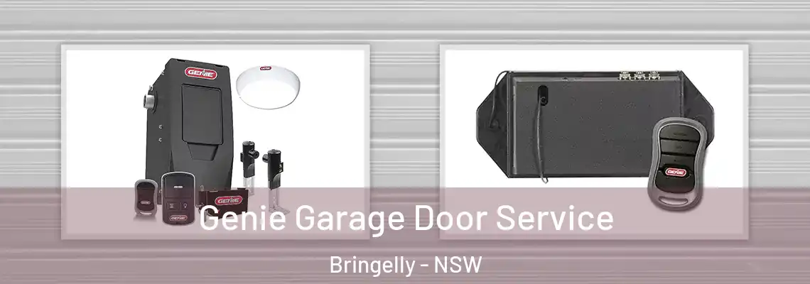  Genie Garage Door Service Bringelly - NSW